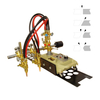 Taglierina a gas portatile CG1-100H 